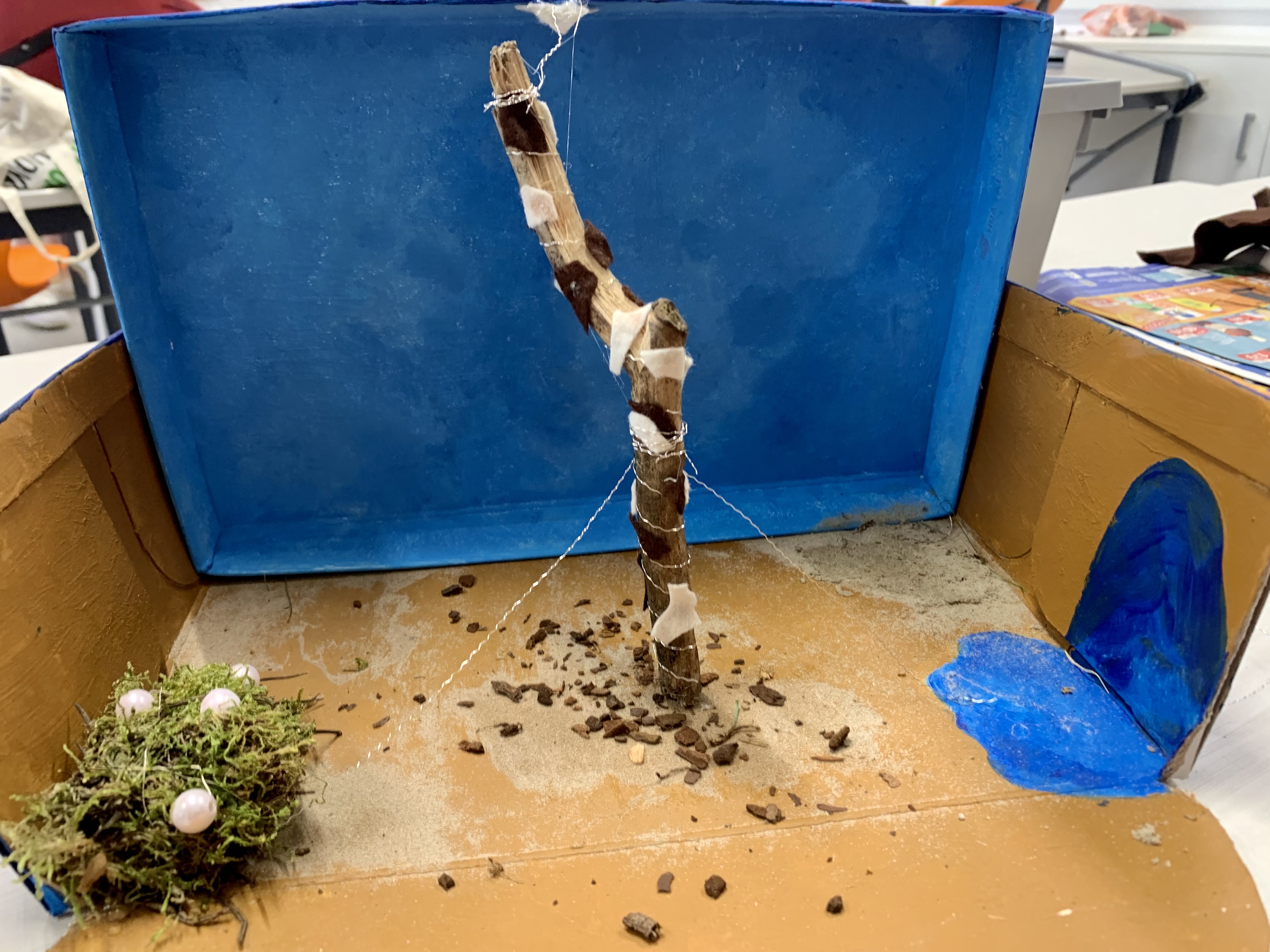 262A7E96 1C99 4A47 A6D6 22E2AB2210CC