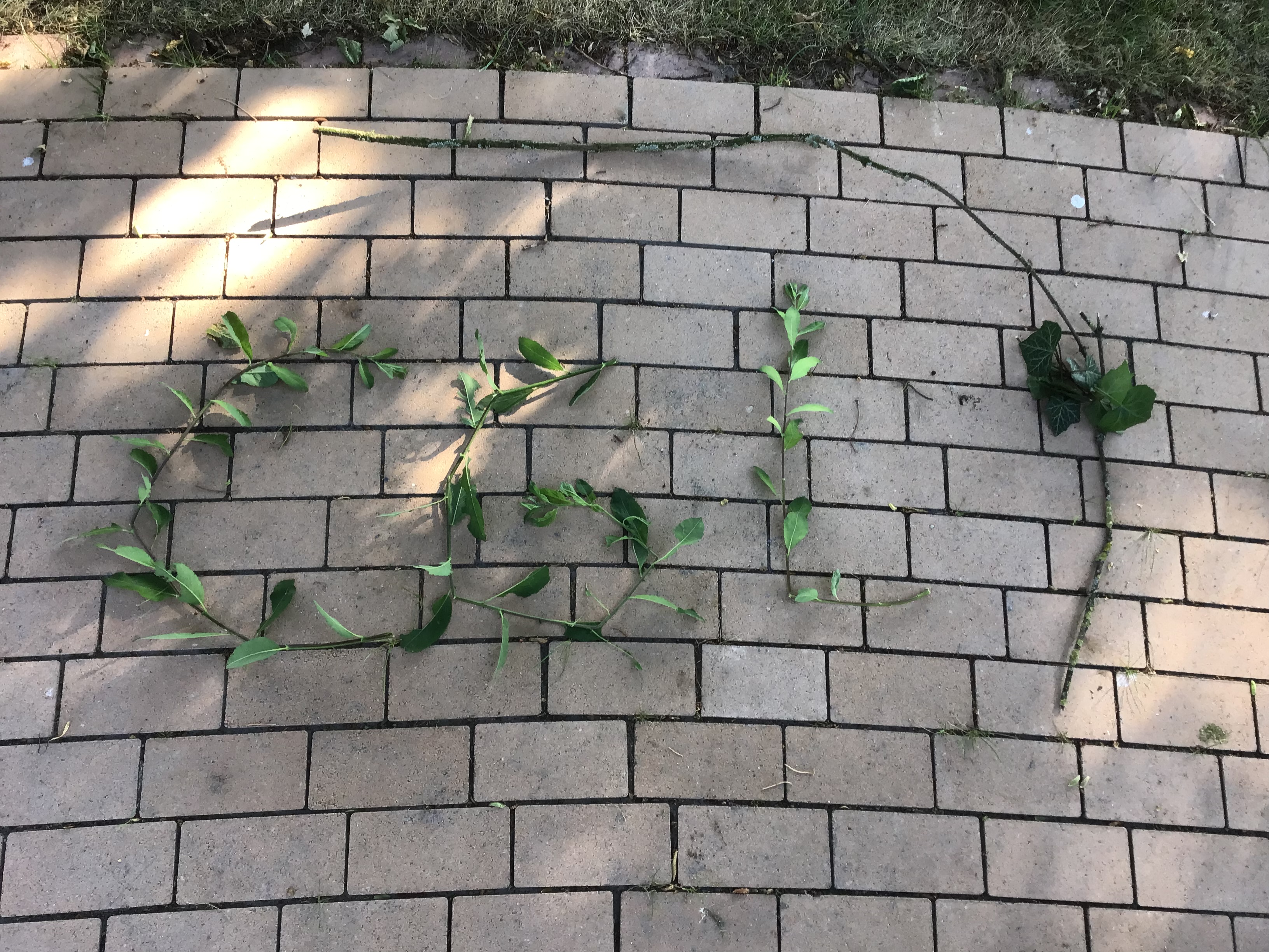 Bild 357701C8 364F 4B71 8385 7A1DA5552188