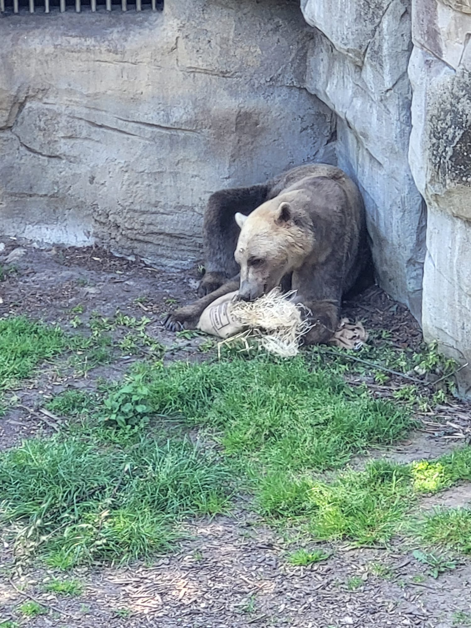 c3b0704e 1054 4b12 92d6 e339834ed6d8