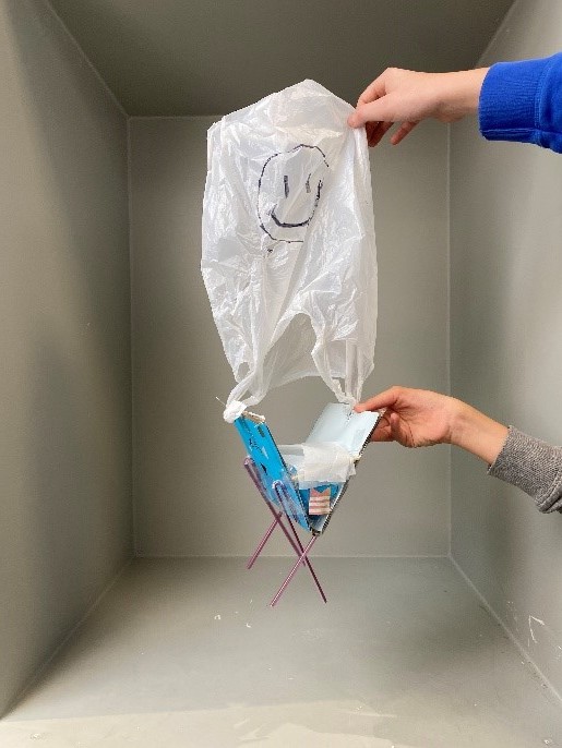 Eier lernen Fliegen Bild 1