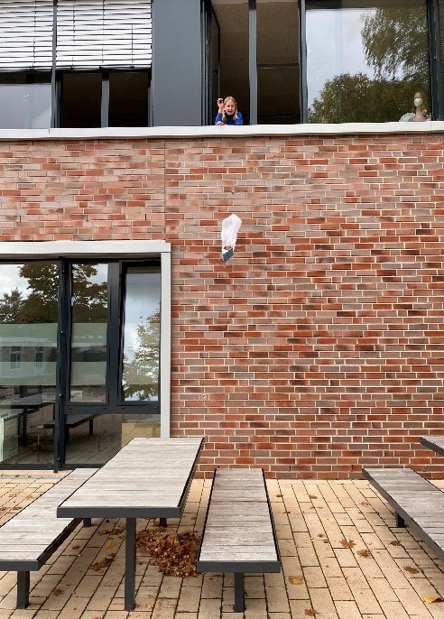 Eier lernen Fliegen Bild 2