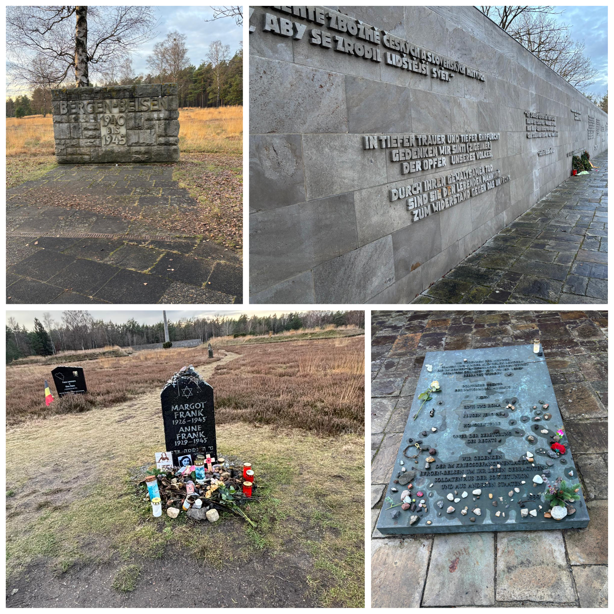 8623FD03 4A90 4586 912A 747E36BF3609